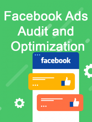jincart facebook-ads-audit-optimization