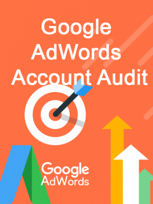 jincart google-adwords-account-audit